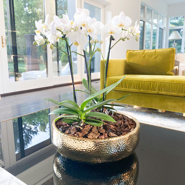 Hammered Gold Bowl