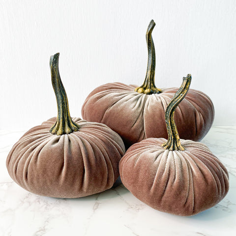Taupe Velvet Pumpkins